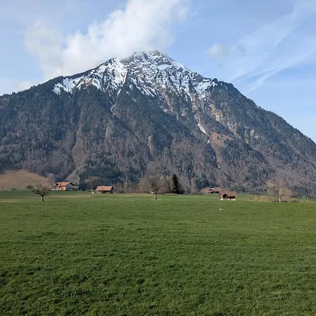 With Balcony, Niesen View & Free Parking Near Interlaken, Thunersee & Blausee