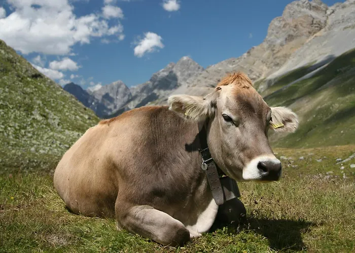 With Balcony, Niesen View & Free Parking Near Interlaken, Thunersee & Blausee Apartament *